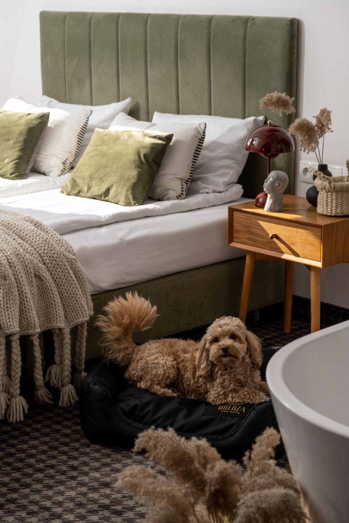 ノヴィ・タルク Oberza Pod Roza Restauracja, Sauny, Jacuzzi Bed & Breakfast エクステリア 写真